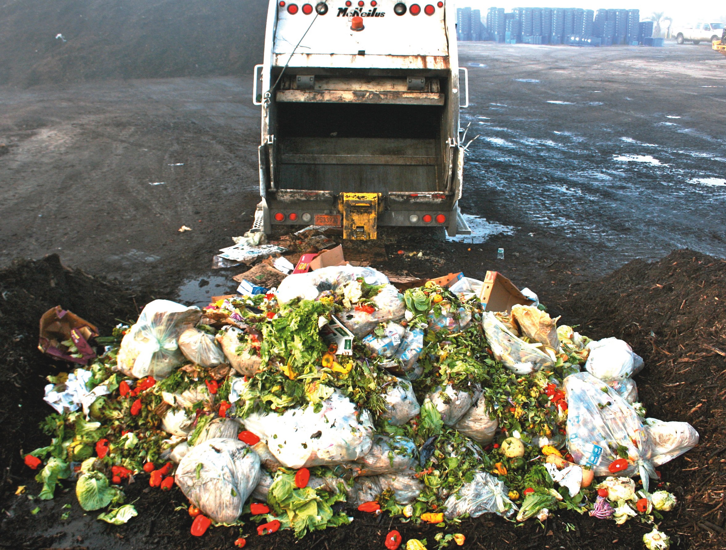 what is food waste