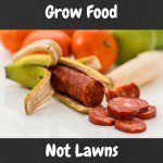 Grow Food Not Lawns and Start an Urban Garden Today