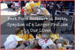 Fast Food Restaurant Waste, Symptom of a Larger Problem in Our Lives