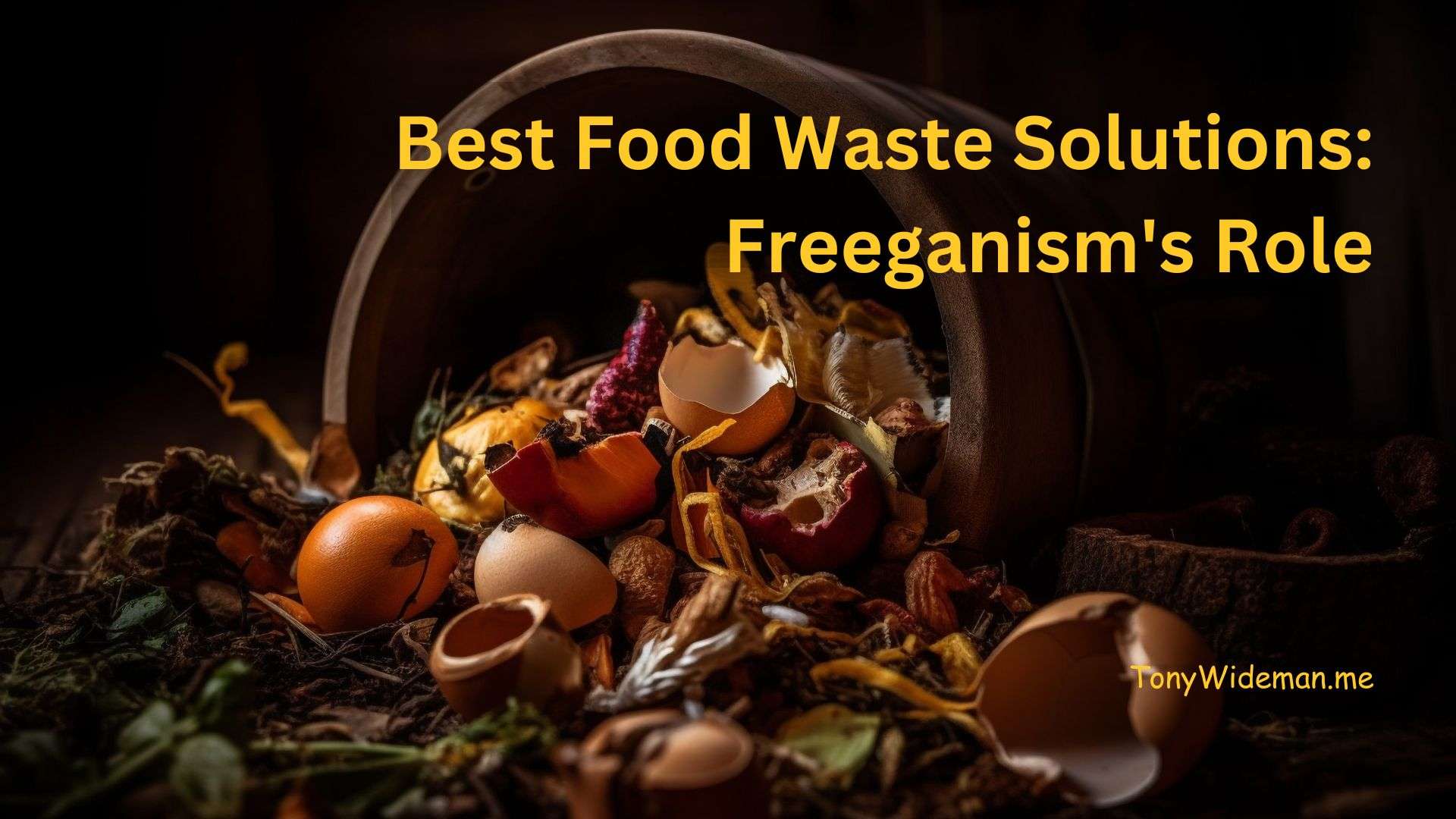 Best Food Waste Solutions: Freeganism's Role