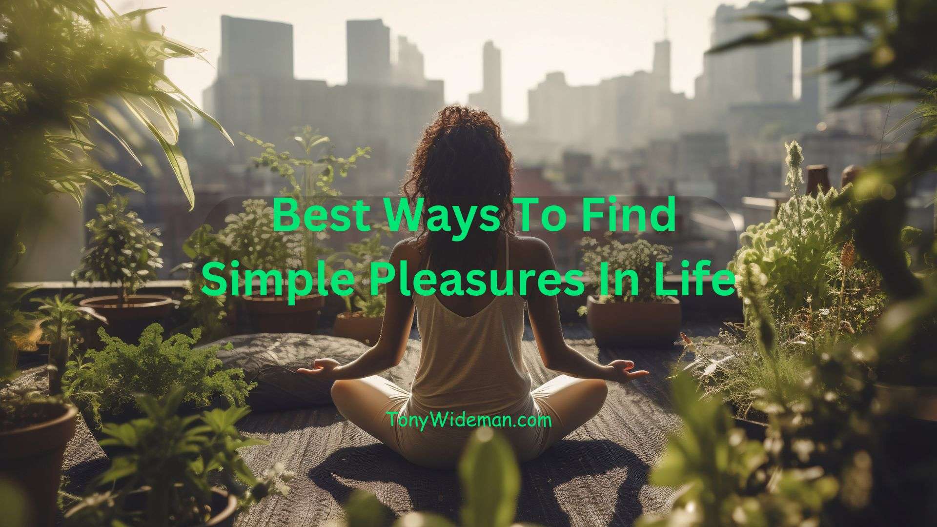Find Simple Pleasures In Life