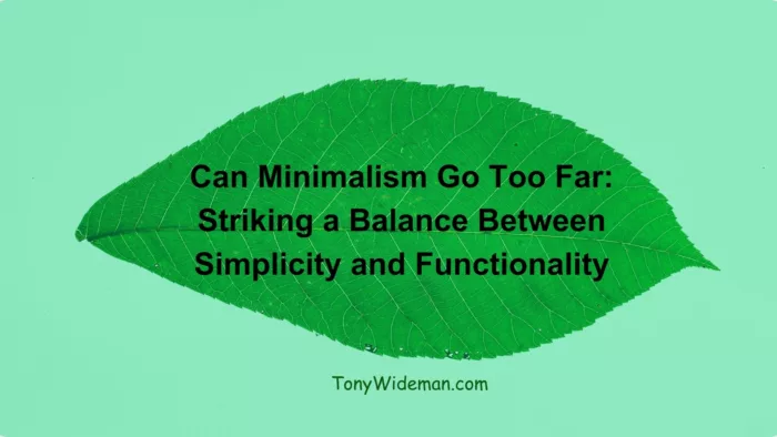 Can Minimalism Go Too Far: Striking a Balance Between Simplicity and Functionality