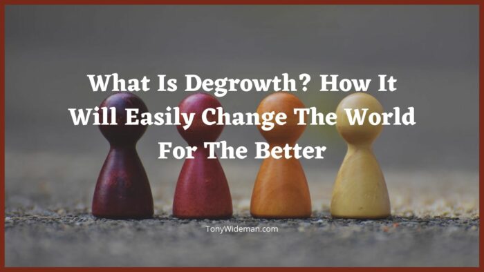 What Is Degrowth