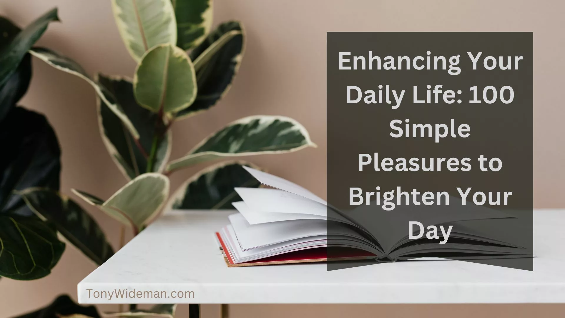 Enhancing Your Daily Life: 100 Simple Pleasures to Brighten Your Day