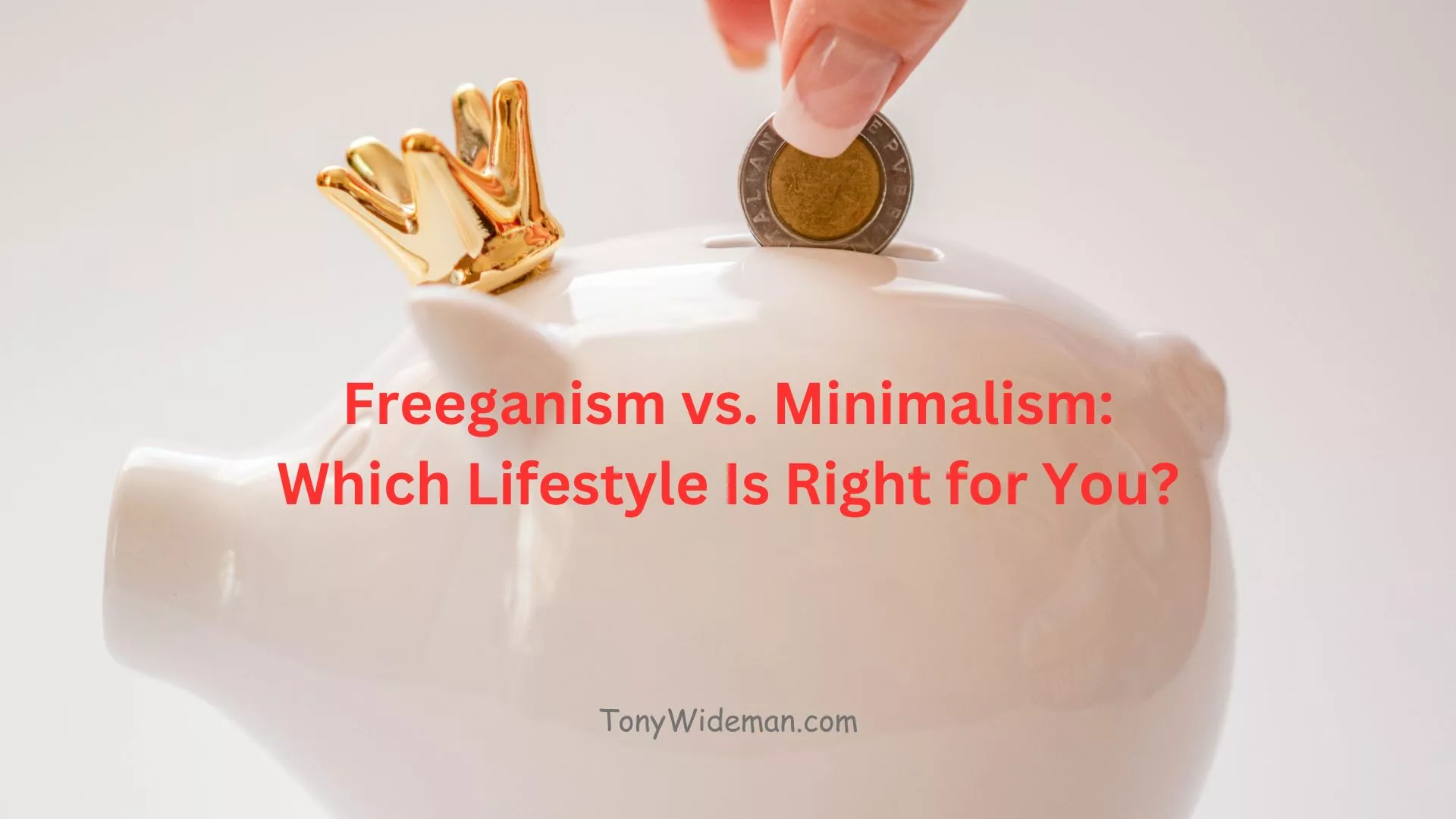 Freeganism vs. Minimalism: Which Lifestyle Is Right for You?