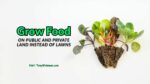 Grow Food On Public And Private Land Instead Of Lawns