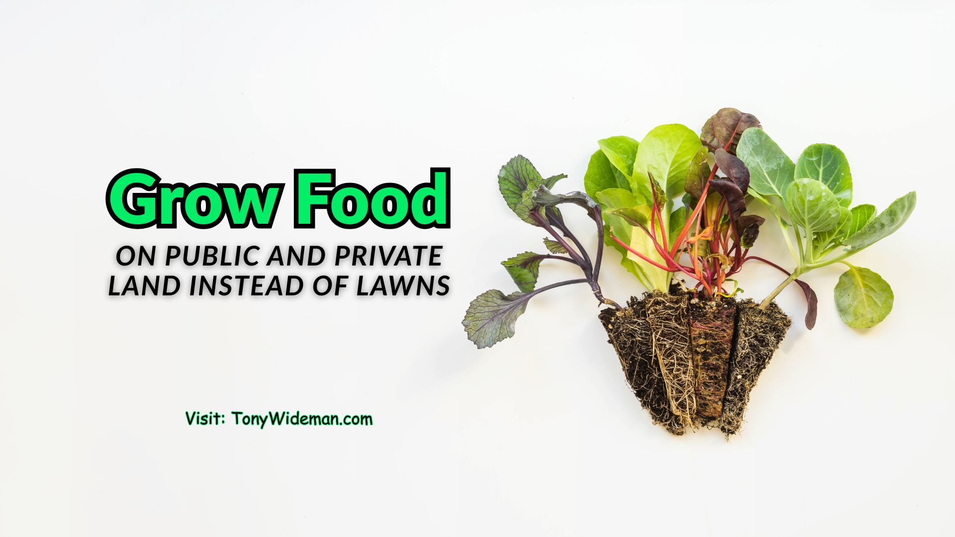 Grow Food On Public And Private Land Instead Of Lawns