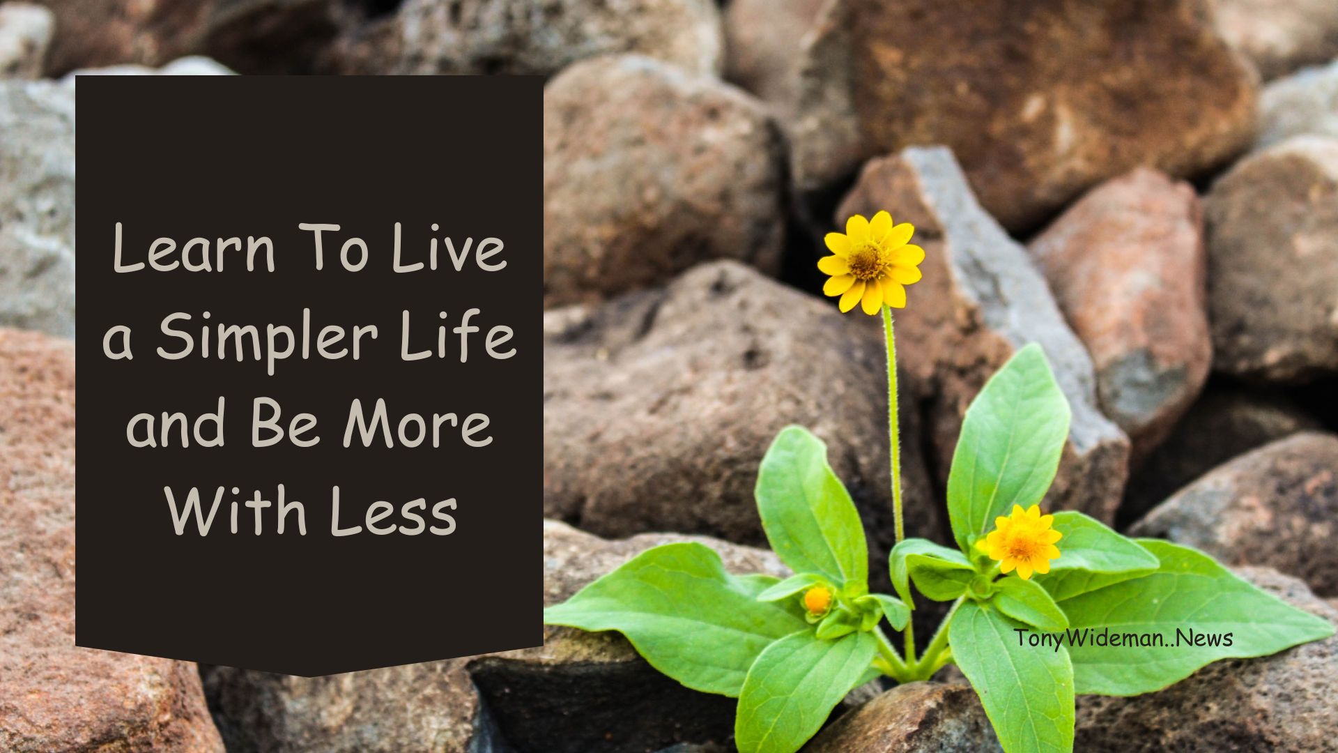 Learn To Live a Simpler Life and Be More With Less