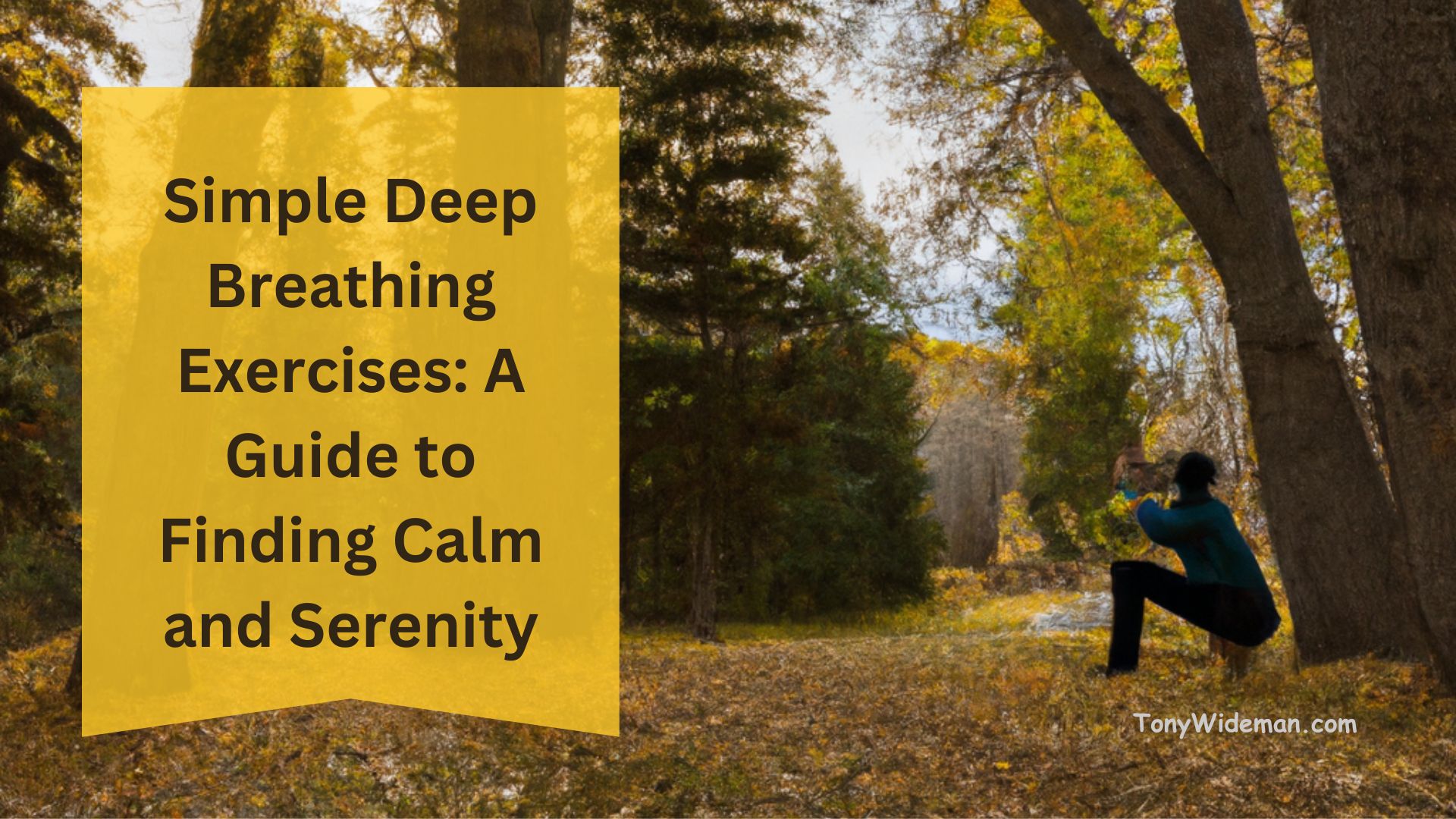 Simple Deep Breathing Exercises: A Guide to Finding Calm and Serenity