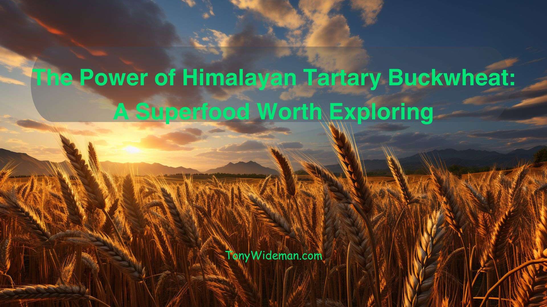 The Power of Himalayan Tartary Buckwheat: A Superfood Worth Exploring