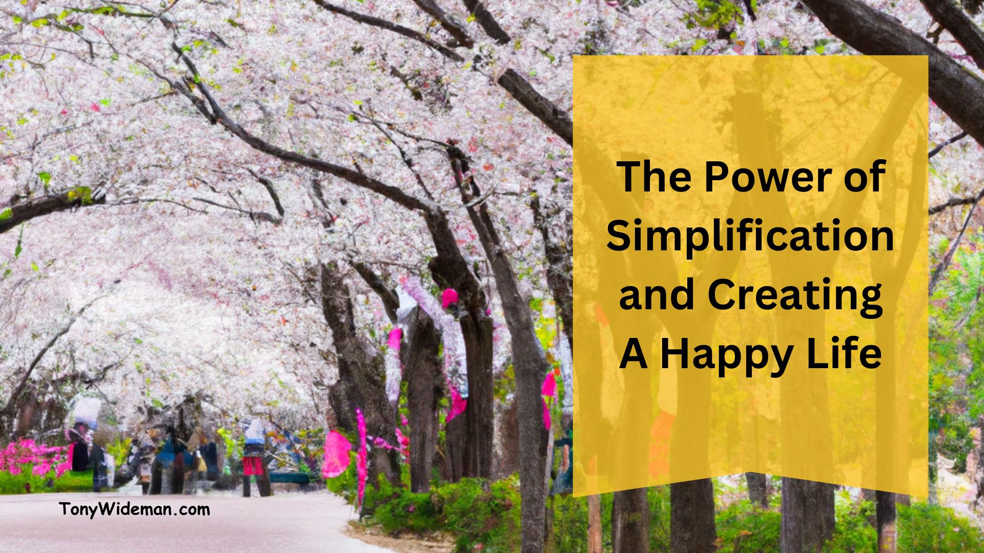 The Power of Simplification and Creating A Happy Life