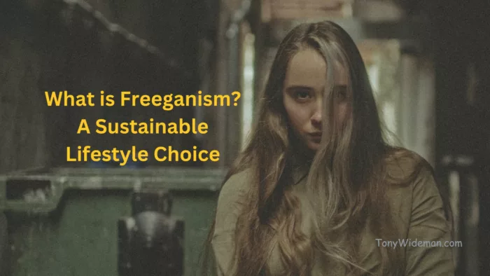 What is Freeganism A Sustainable Lifestyle Choice