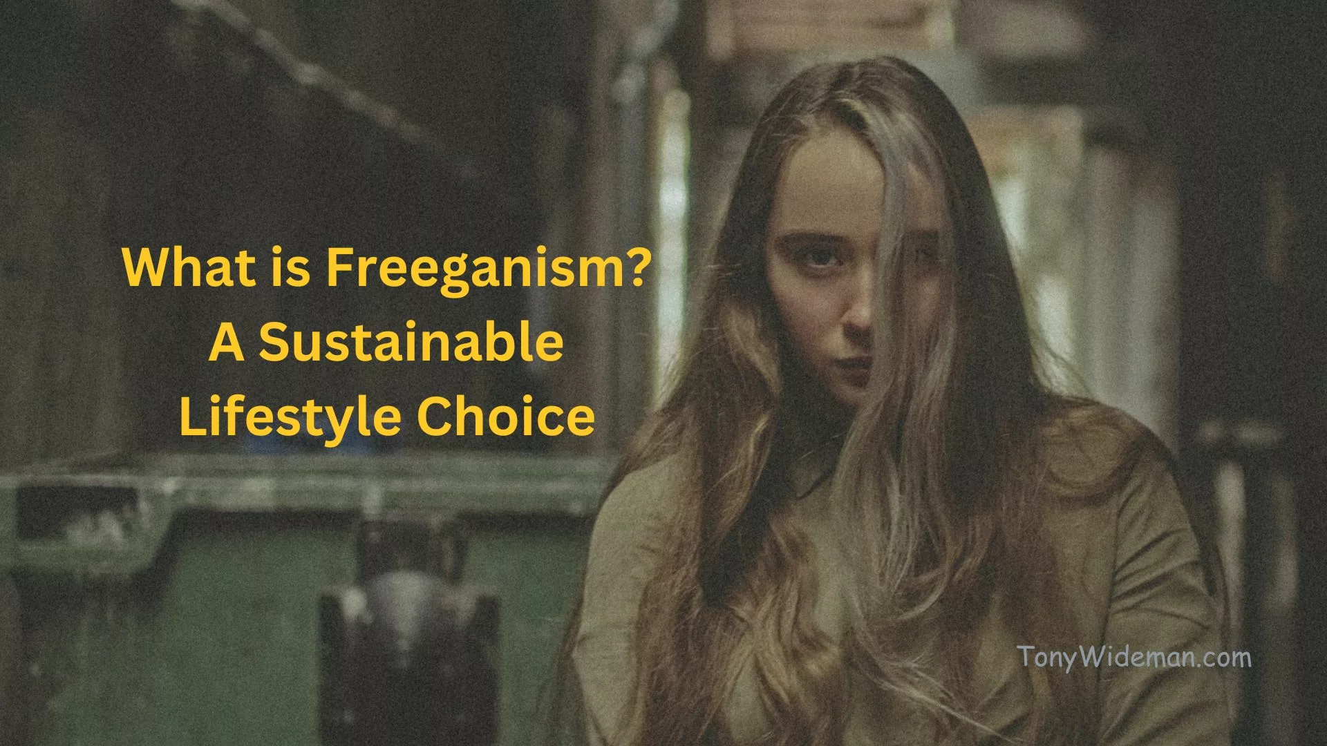 What is Freeganism? A Sustainable Lifestyle Choice